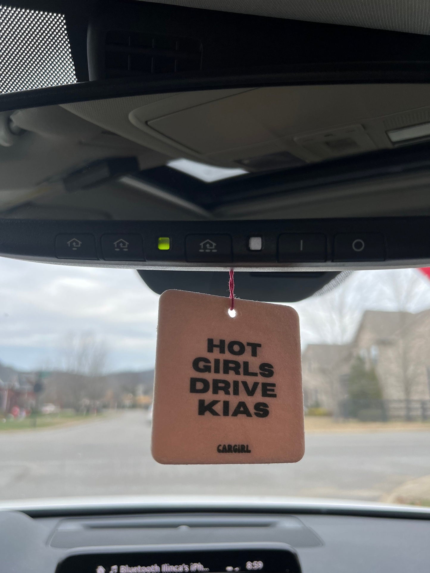 Pink 'Hot Girls Drive Kias' Vanilla Car Freshener