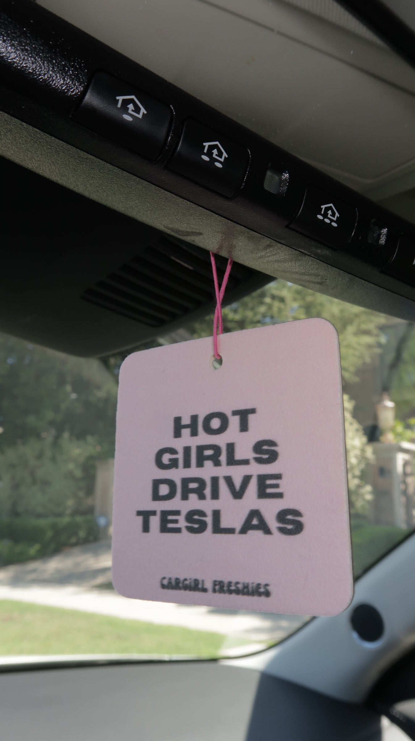 "Hot Girls Drive Teslas" Car Freshie – Vanilla Rose