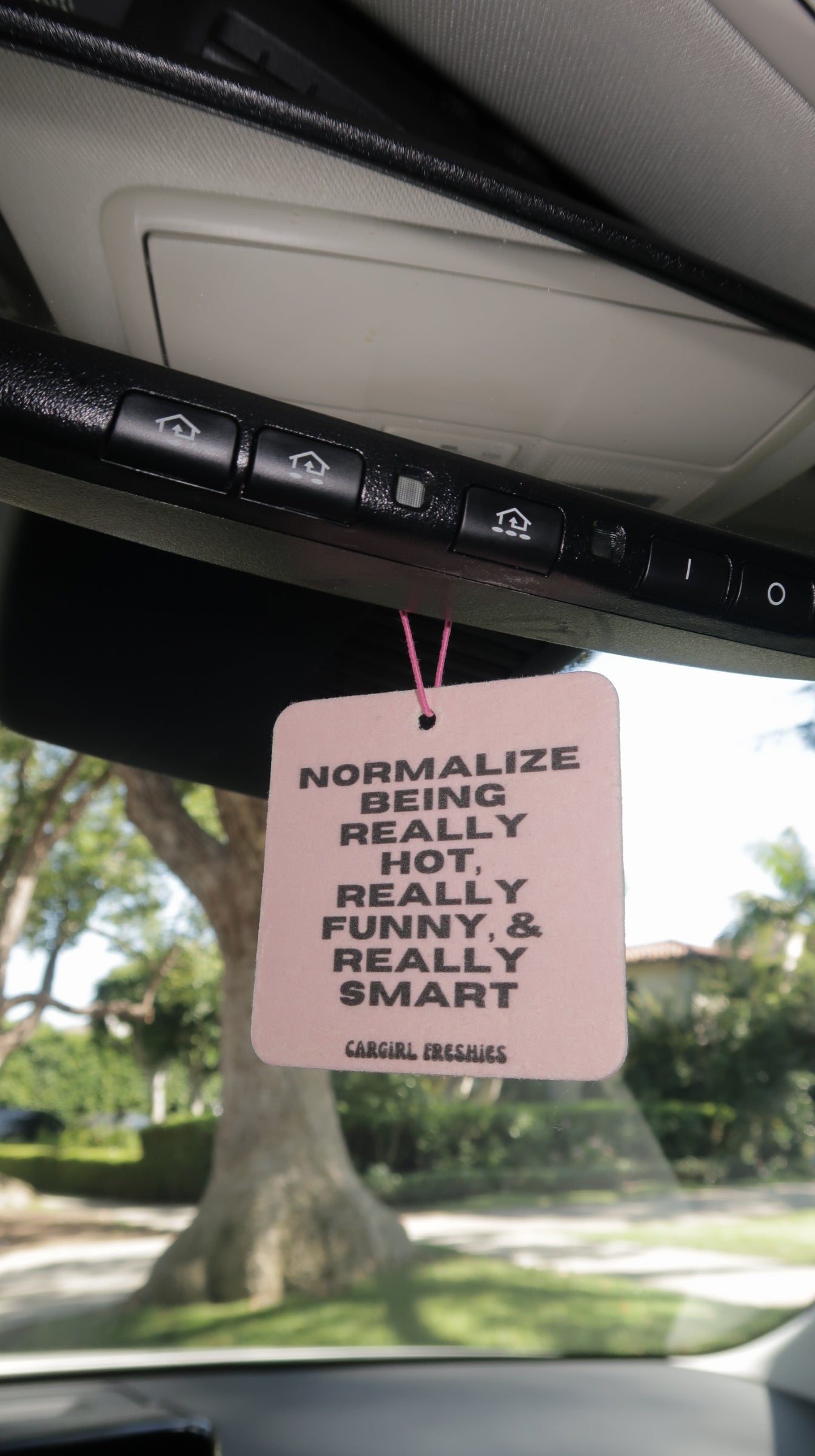 "Normalize Being Really Hot, Really Funny, and Really Smart" Car Freshie – Vanilla Rose