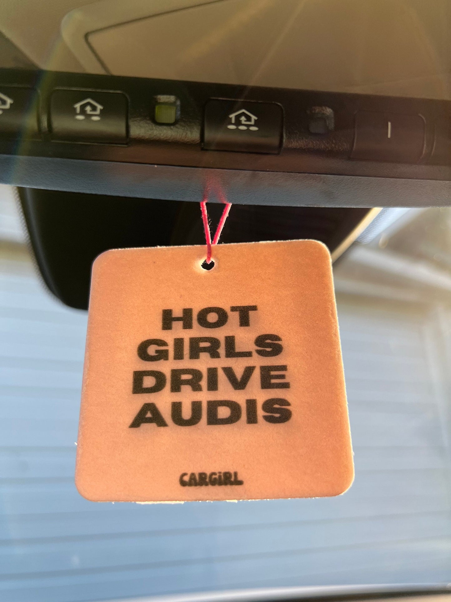 Hot Girls Drive Audis Car Freshener 3-Pack | Vanilla Rose Scented