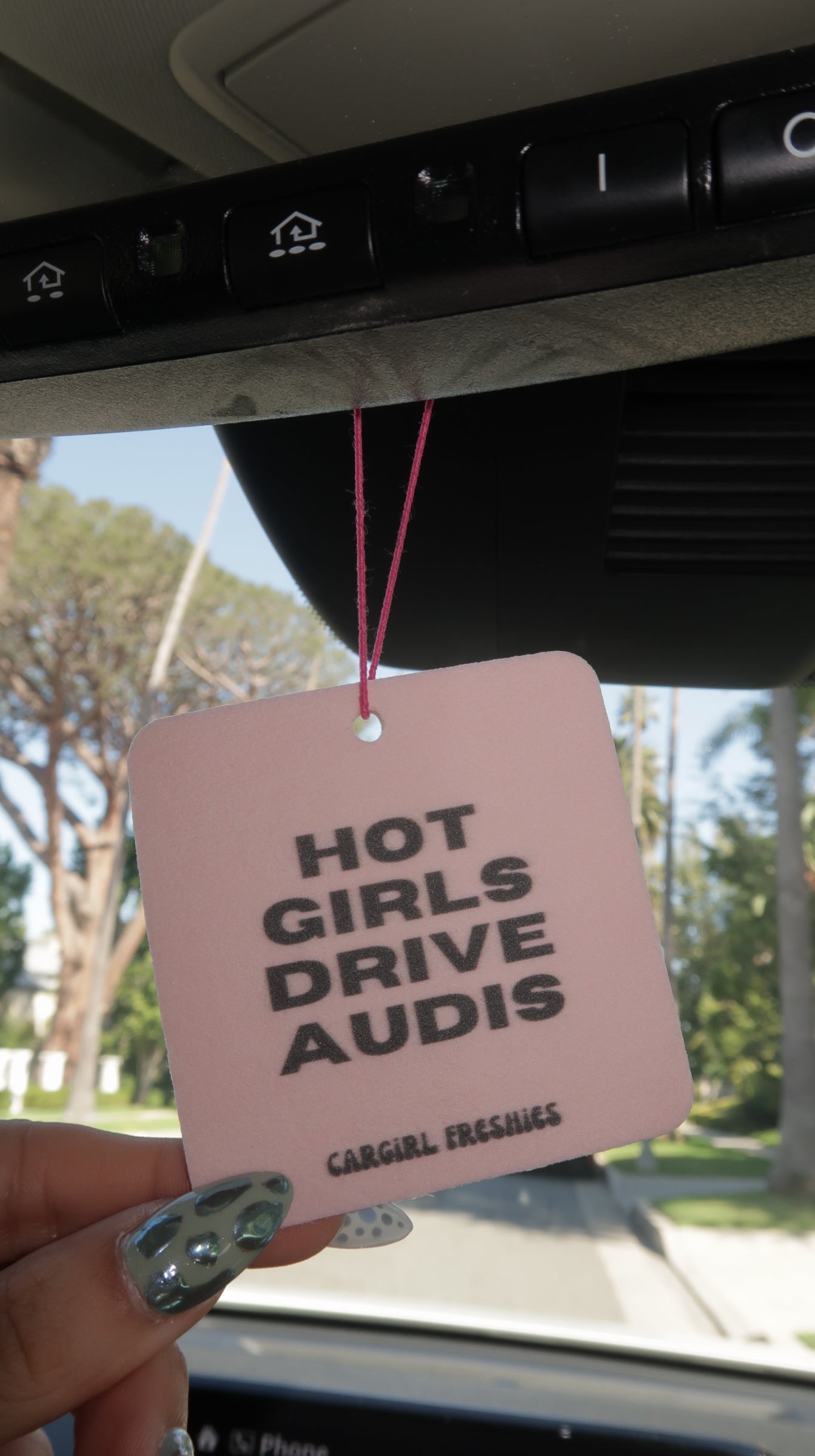 "Hot Girls Drive Audis" Car Freshie – Vanilla Rose