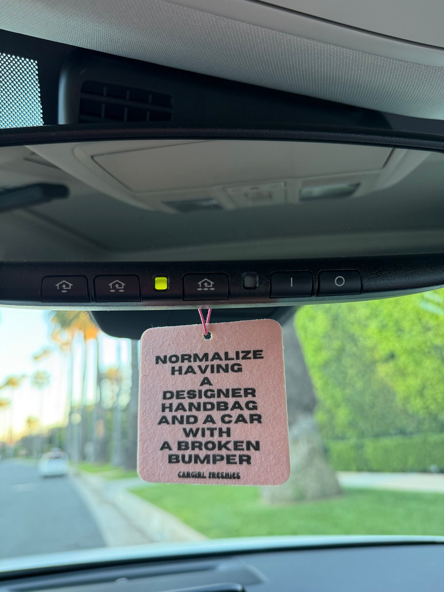 "Normalize Having a Designer Handbag and a Car with a Broken Bumper" Car Freshie – Vanilla Rose