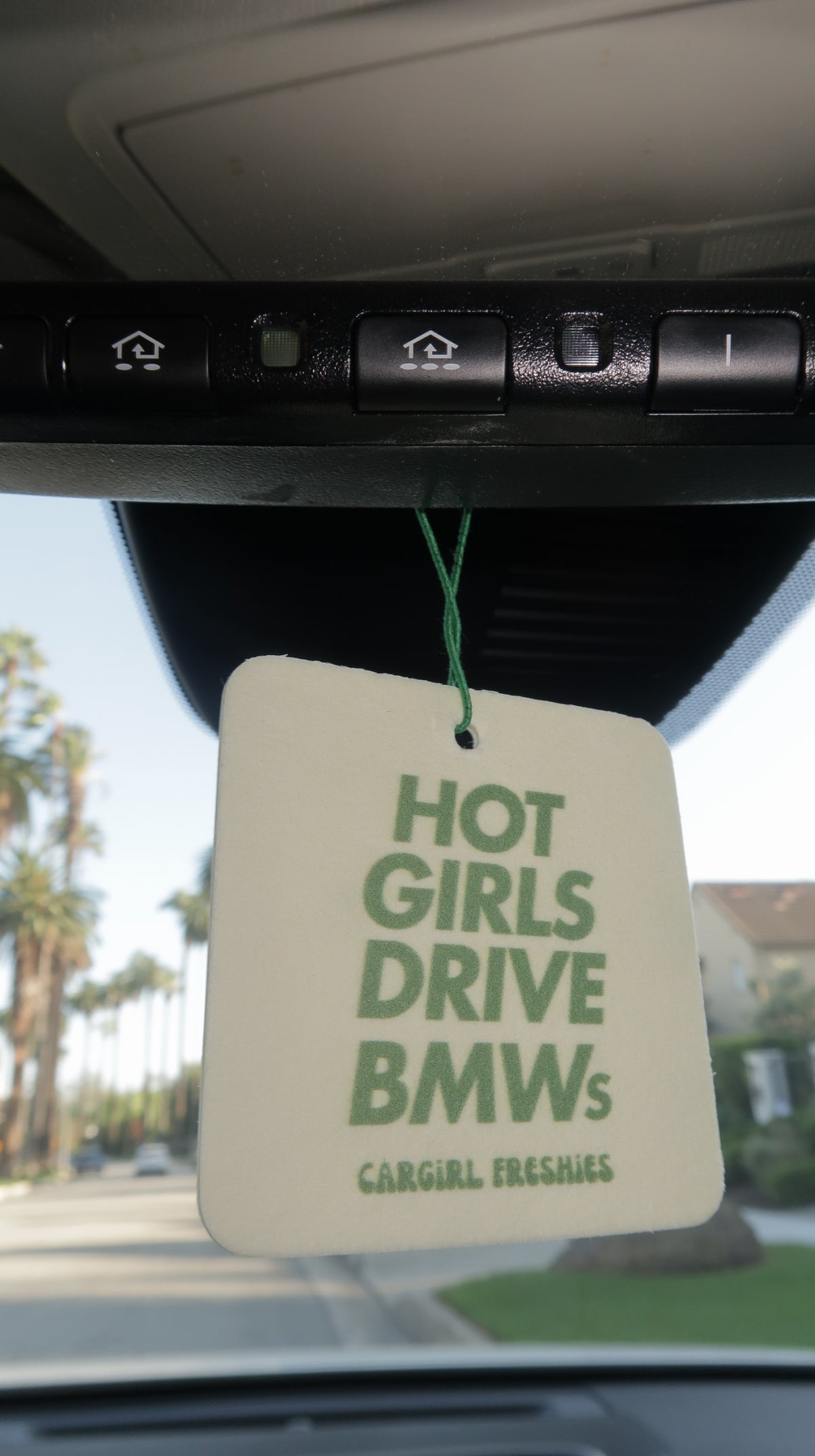 "Hot Girls Drive" Car Freshie – Melon Dew