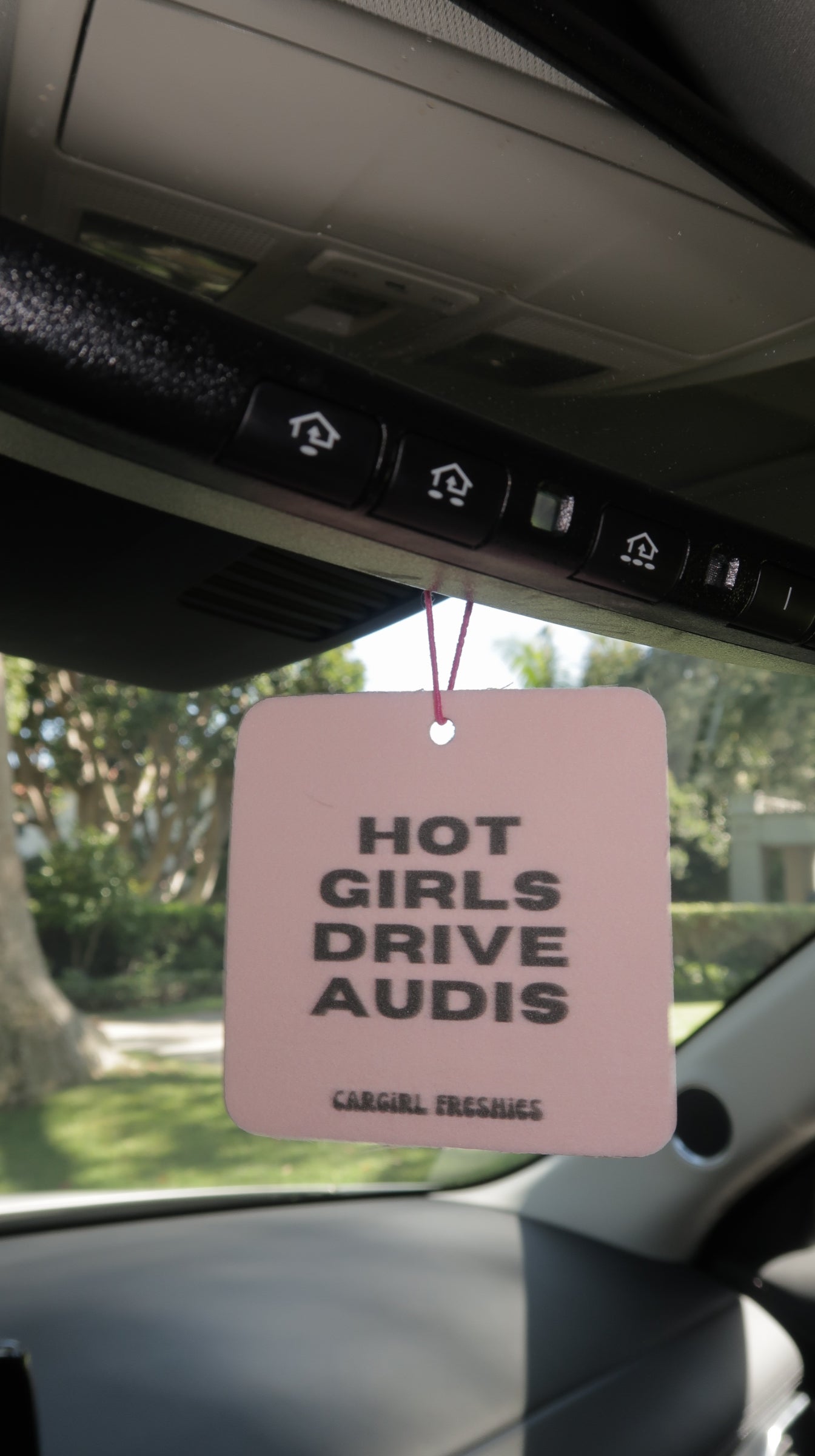 "Hot Girls Drive Audis" Car Freshie – Vanilla Rose