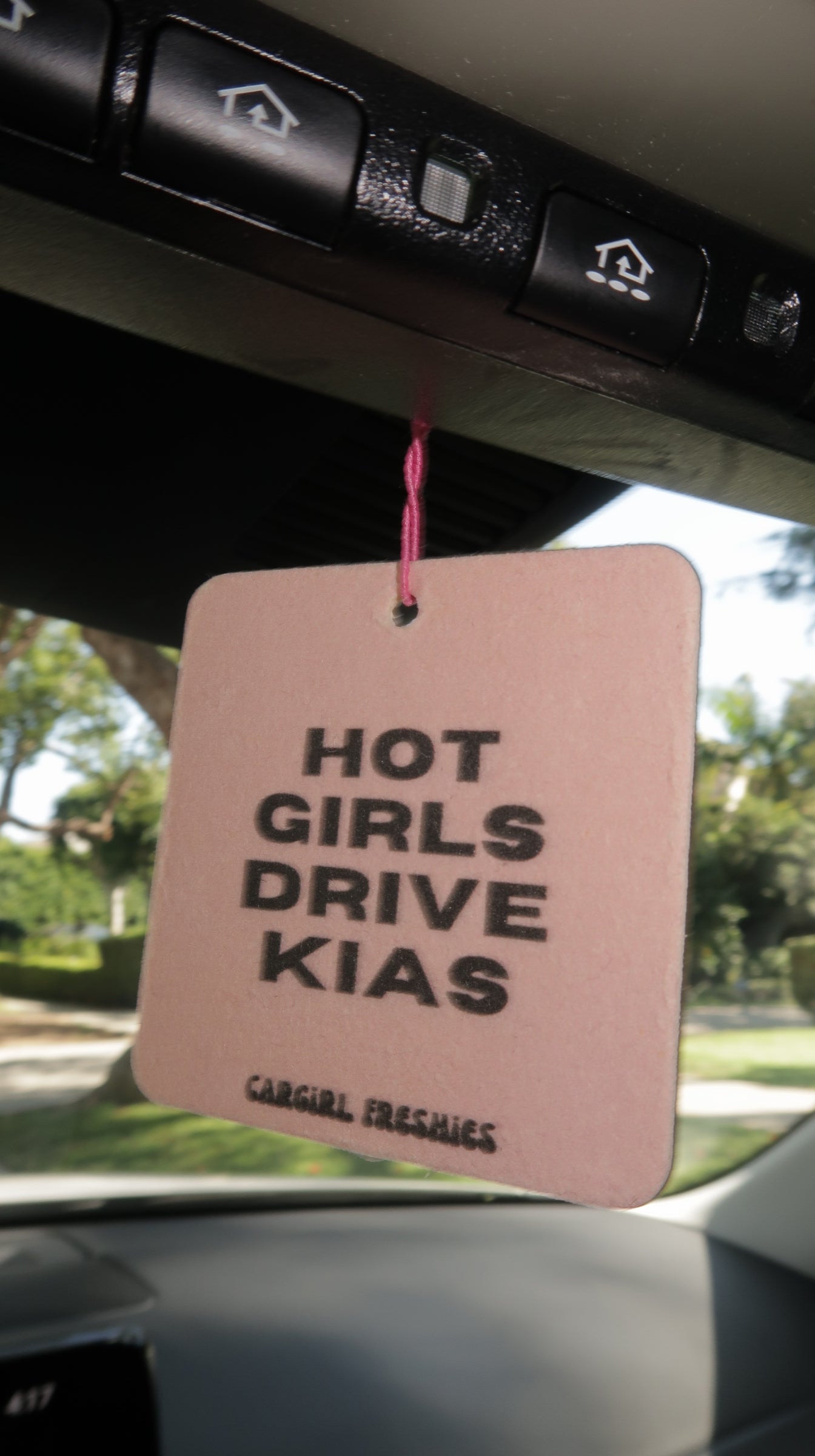 "Hot Girls Drive Kias" Car Freshie – Vanilla Rose