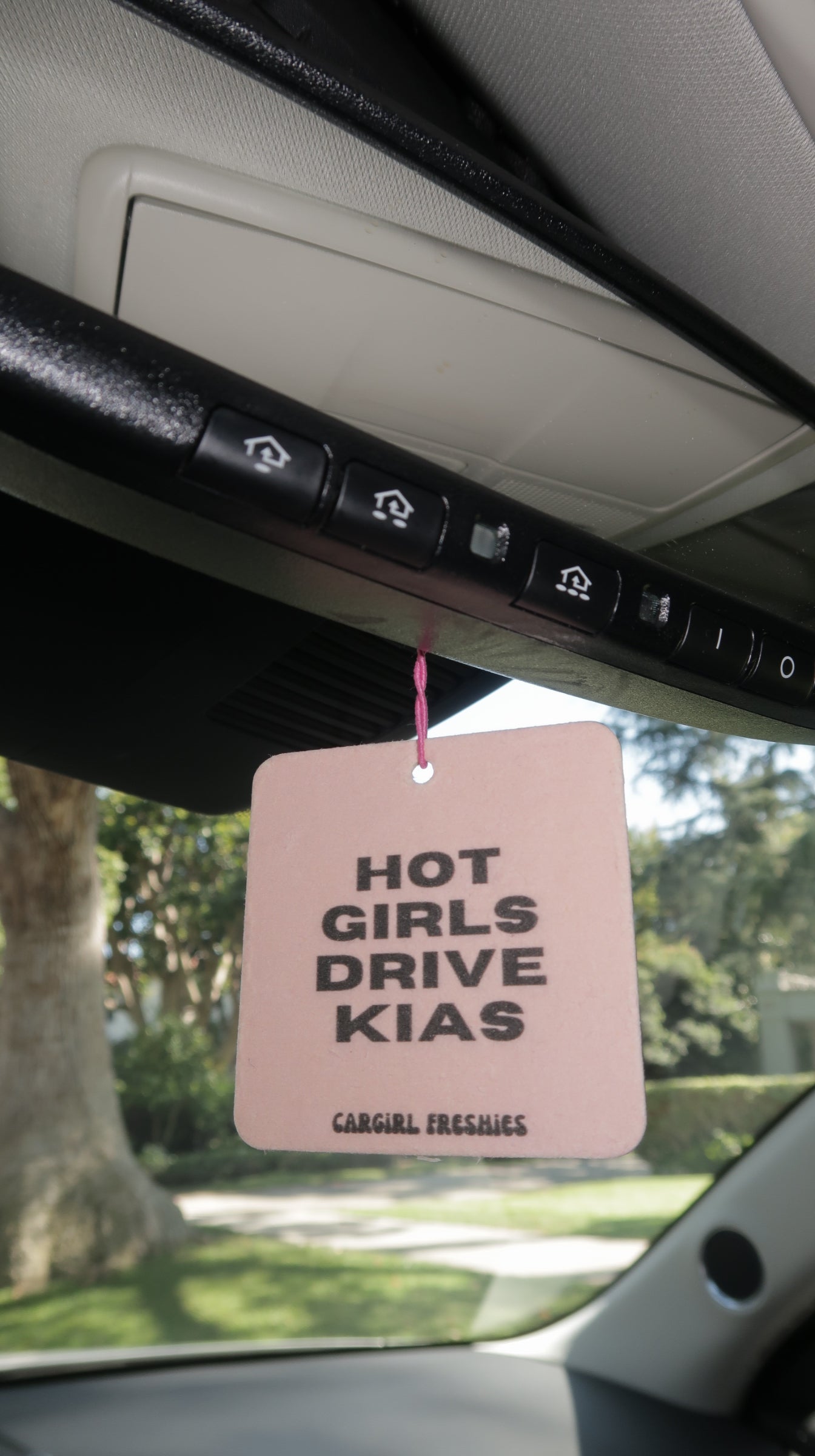 "Hot Girls Drive Kias" Car Freshie – Vanilla Rose