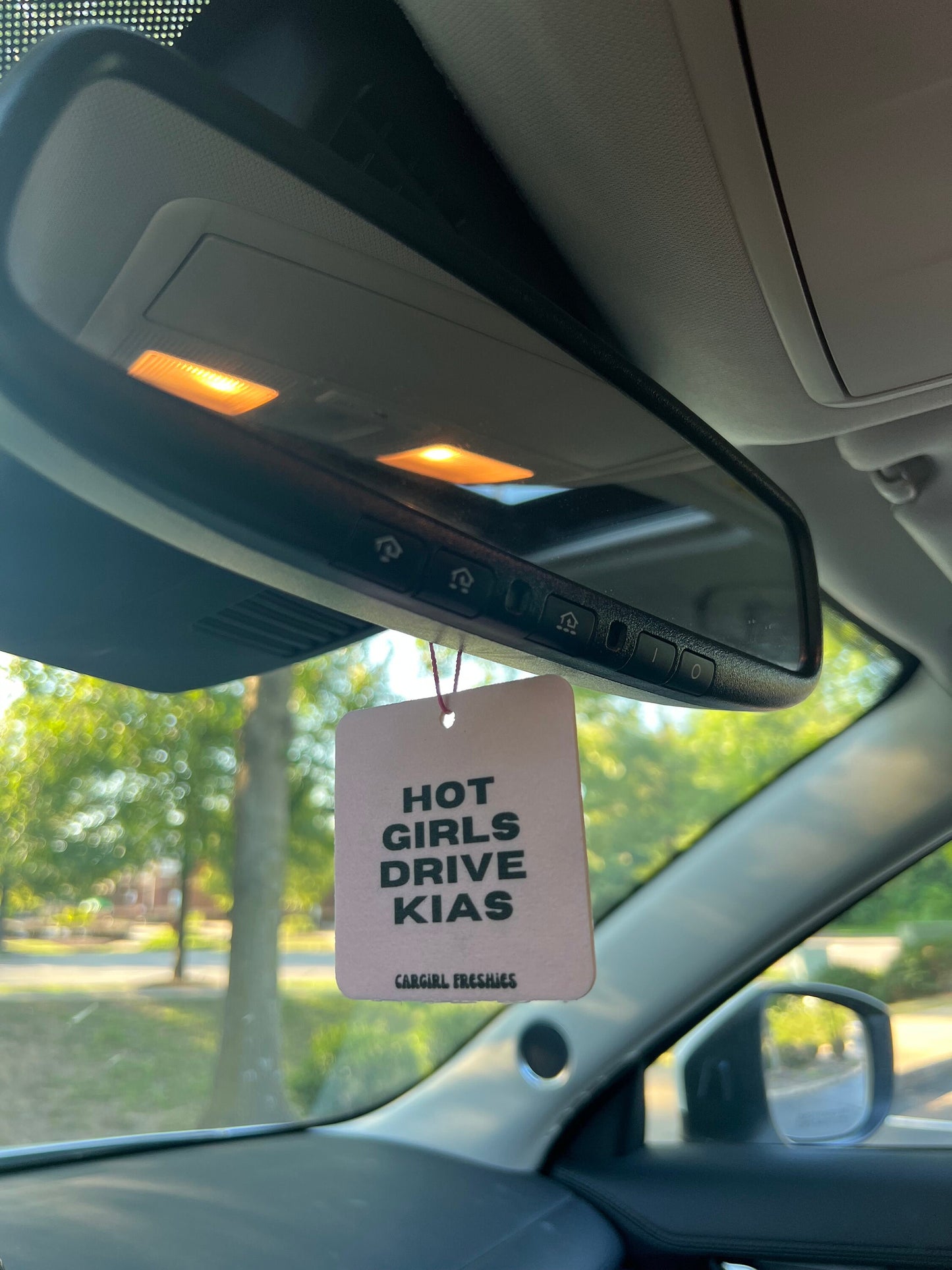 Hot Girls Drive Kias Car Freshener 3-Pack | Vanilla Scented