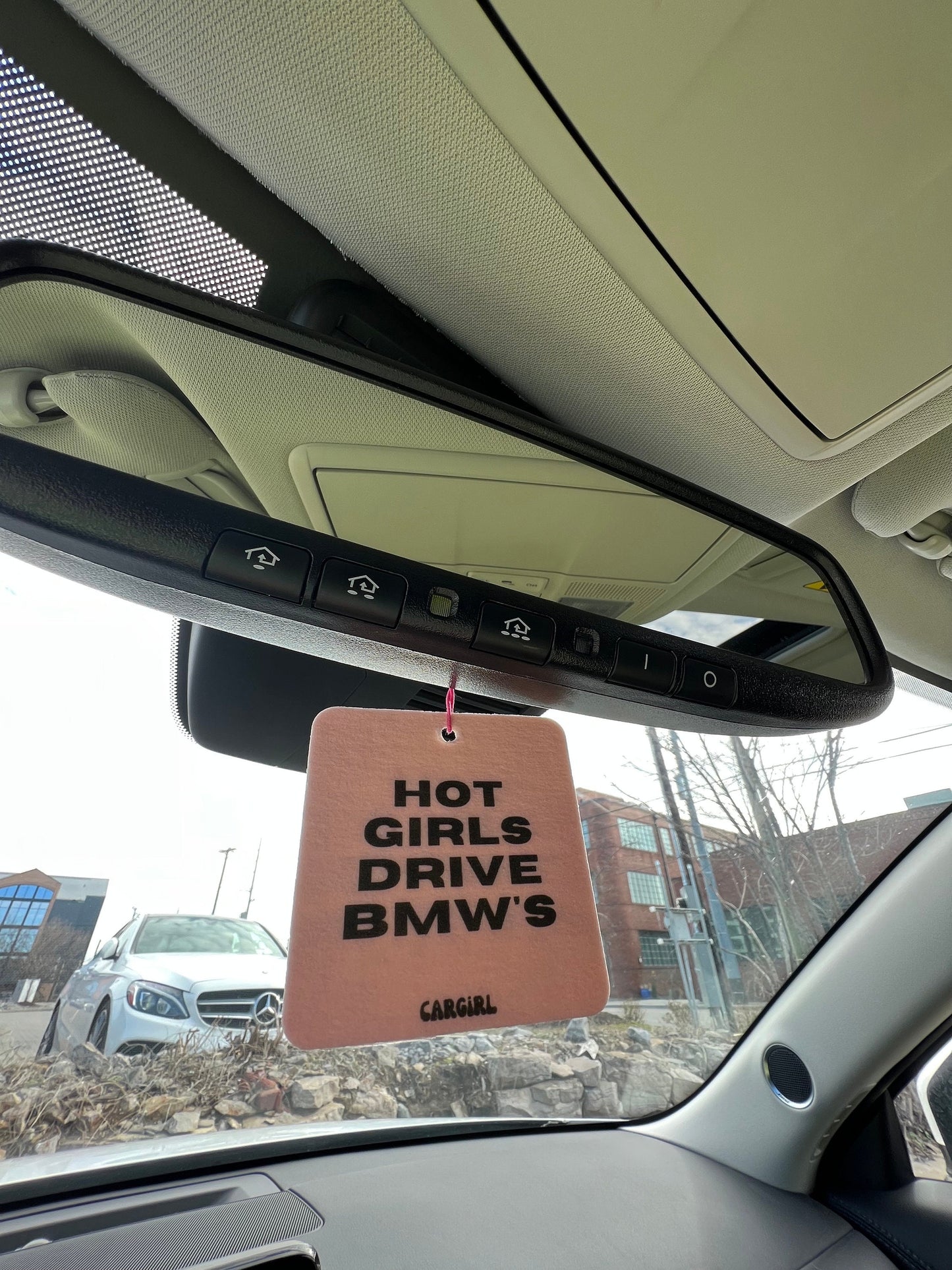 Hot Girls Drive BMWs Car Freshener | Vanilla Scented, Pink (3-pack)