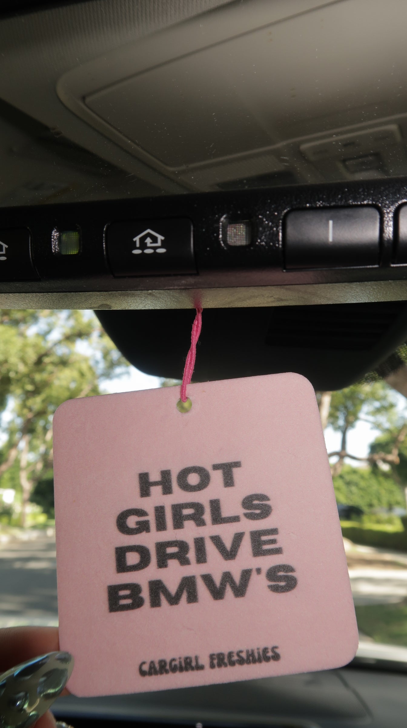 "Hot Girls Drive BMWs" Car Freshie 3-Pack – Vanilla Rose