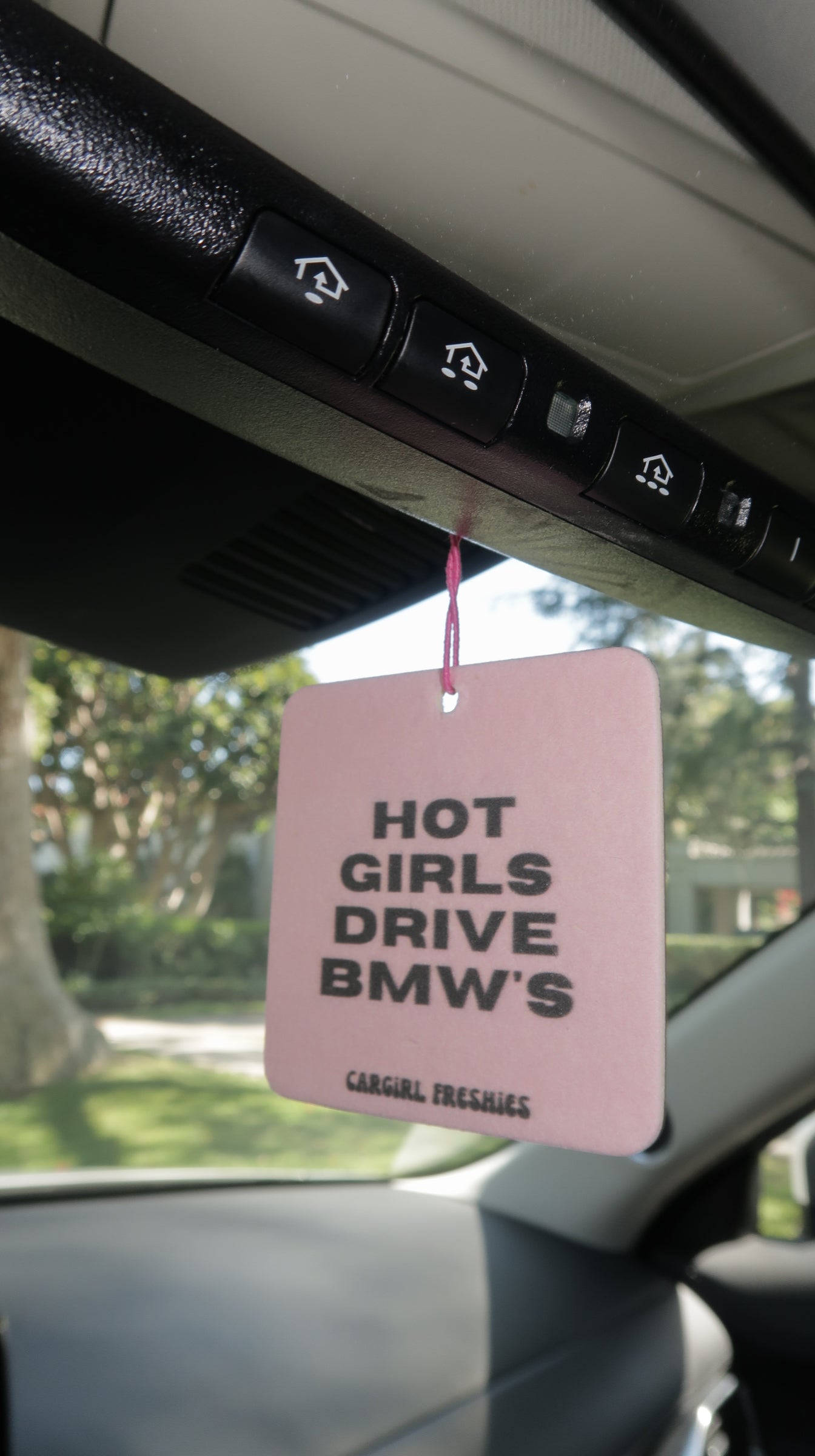 "Hot Girls Drive BMWs" Car Freshie 3-Pack – Vanilla Rose