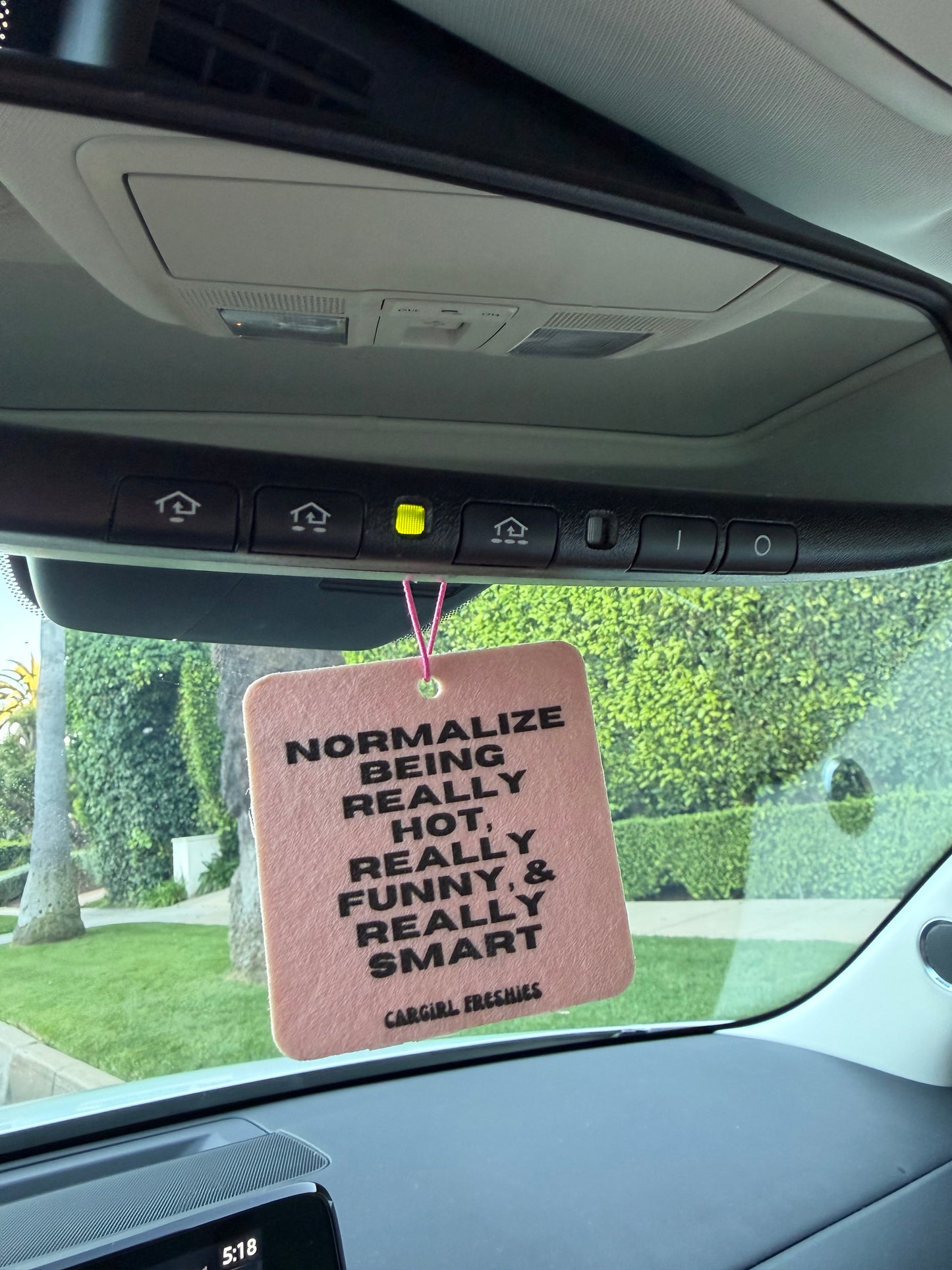"Normalize Being Really Hot, Really Funny, and Really Smart" Car Freshie" 3-Pack – Vanilla Rose